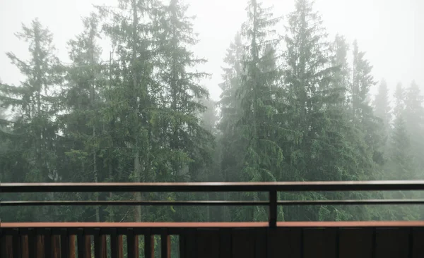 Тло. Готельний балкон з видом на сосновий ліс в тумані. Балкон в квартирі зовні вранці в тумані. Копіювати простір. Сосновий ліс за межами квартири в заміському будинку . — стокове фото