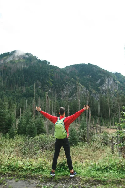 远足的人高举双臂站在大自然的原始本性的背景下，享受着自由。一个背负背包的男人举起双手看着美丽的风景的垂直照片。旅行： — 图库照片