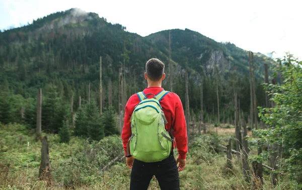 Backpacker hiking, standing against the backdrop of the untouched nature of the national reserve and admiring the scenery. Hiking mountains concept. Back hiker hiking in mountains. — 스톡 사진