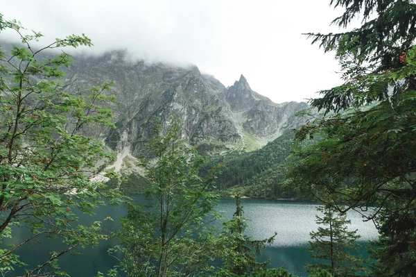 Los árboles sobre el fondo del lago y las montañas en el día nublado. Paisaje: lago azul claro, montañas rocosas.Morskie Oko. Montañas Tatra. Parque Nacional Tatra — Foto de Stock