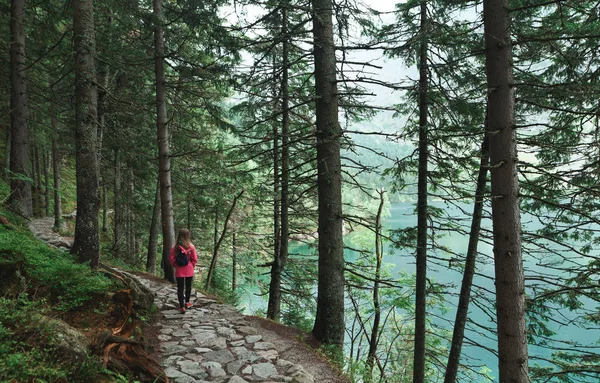 Flickan i rosa regnrock går längs en stenstig i en barrskog nära en blå sjö. Vandrare vandrar längs en stig med vacker fjällnatur. Morskie Oko, Tatrabergen — Stockfoto