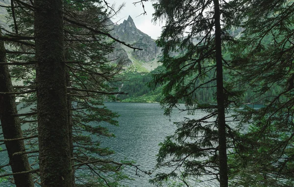 Geçmişi. Manzara. Morskie Oko Gölü 'nün manzarası. Tatra Dağları. Mavi göl ve dağların arkasındaki kozalaklı ağaçlar. Boşluğu kopyala — Stok fotoğraf