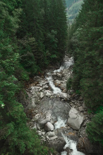 Fondo. Río de montaña con vista a la cascada. Árboles de coníferas y río en las montañas. Naturaleza intacta en la reserva. Copiar espacio — Foto de Stock