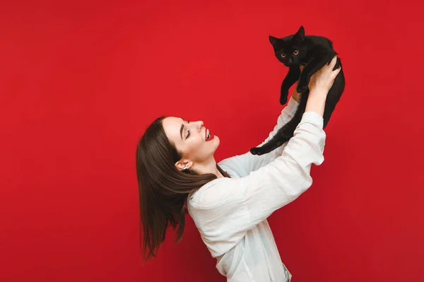 Portret szczęśliwej dziewczyny na czerwonym tle bawiącej się kotem w dłoniach, uśmiechającej się patrząc na zwierzaka. Uśmiechnięta dziewczyna w białej koszuli bawiąca się czarnym kotem na tle, odizolowana. Przestrzeń kopiowania — Zdjęcie stockowe