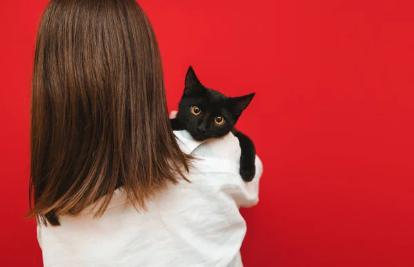 Cute black cat lies on the shoulders of a woman in a white shirt and looks into the camera on a red background. Handsome pet in a man hugging on his shoulders. Owner hugs the cat. Isolated. Copy space