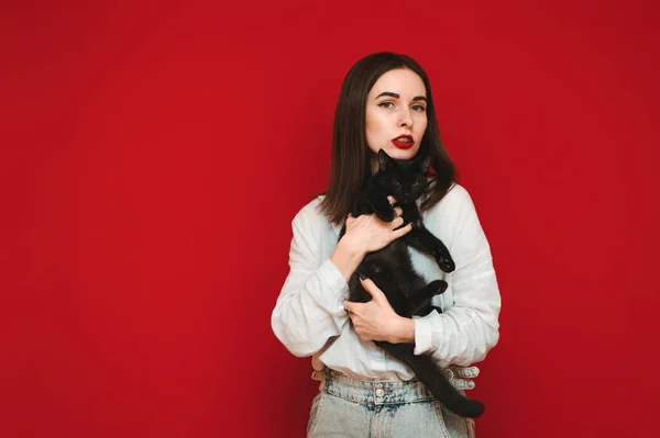 Retrato de mulher elegante em camisa branca abraçando gato pequeno preto e olhando para a câmera com rosto sério no fundo vermelho. A menina é fotografada com um animal de estimação em seus braços. Conceito de gatos . — Fotografia de Stock