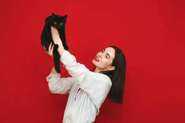 Mulher alegre atraente levantou seu gato com as mãos para cima e sorrindo, o proprietário brincando com um pequeno gato em um fundo vermelho. Menina feliz com um gato em suas mãos se divertindo. Isolados . — Fotografia de Stock