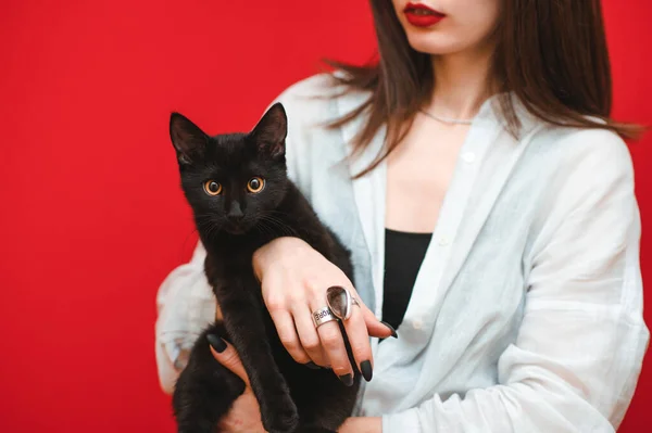 Kontekst. Przystojny czarny kot z żółtymi oczami siedzi na kobiecych dłoniach i patrzy w kamerę. Kobieta trzymająca czarnego kota w rękach, kopiuje miejsce po lewej. Szablon do projektowania z kotem. — Zdjęcie stockowe