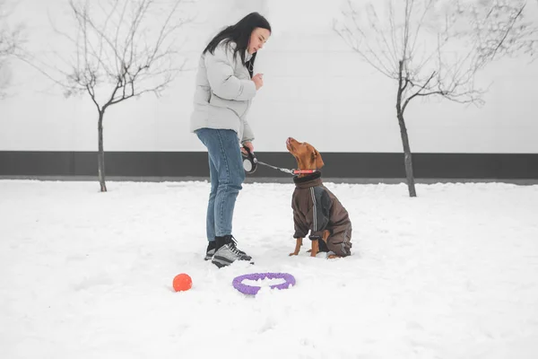 Nő téli ruhában és egy kutya pórázon áll a hóban egy fehér fal hátterében. A lány kiképez egy kutyát egy téli sétára.. — Stock Fotó