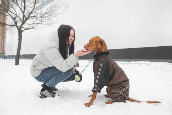 Smiling girl on the street with a beautiful dog wearing clothes — Stock Photo, Image