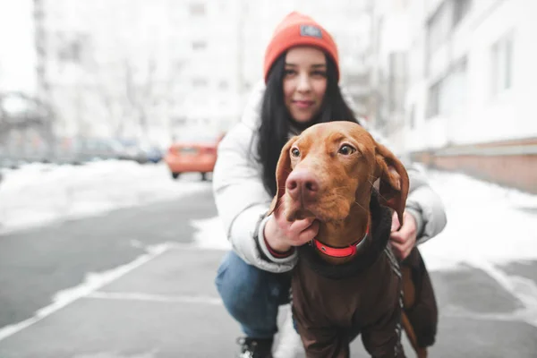 Милая девушка с красивой породой собак magyar vizsla сидит на wi — стоковое фото