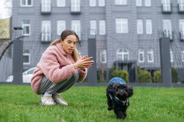 Vacker Tjej Rosa Jacka Leker Med Hund Grön Gräsmatta Ägaren — Stockfoto