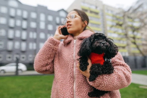 Söt Valp Händerna Attraktiv Flicka Som Pratar Telefon Stadens Gata — Stockfoto