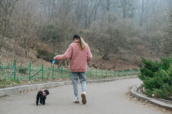 Rózsaszín Kabátos Lány Sétált Sikátorban Egy Kis Kutyával Pórázon Kilátás — Stock Fotó