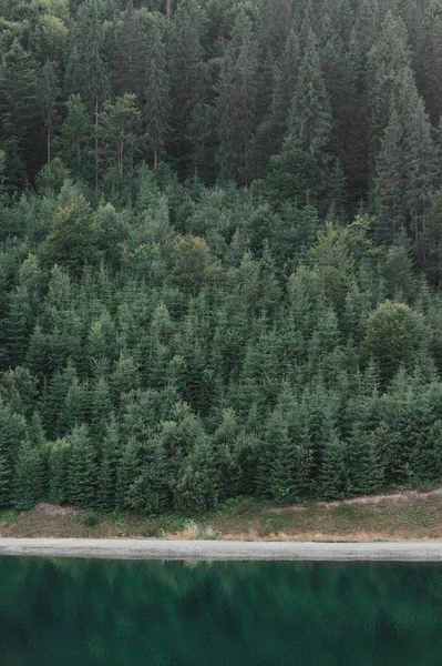 Contexto Paisagem Lago Montanhas Com Floresta Conífera Floresta Coníferas Intocada — Fotografia de Stock