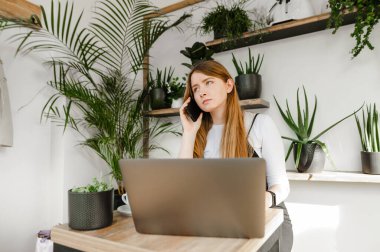 Serbest çalışan kız rahat bir kafede dizüstü bilgisayarla oturuyor ve telefonda ciddi bir yüzle arıyor, başka tarafa bakıyor. Yoğunlaşmış kadın telefonla iletişim kuruyor ve interneti dizüstü bilgisayarda kullanıyor.