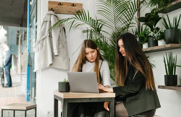 Porträt Zweier Büroangestellter Formeller Freizeitkleidung Die Beim Kaffeetrinken Computer Arbeiten — Stockfoto