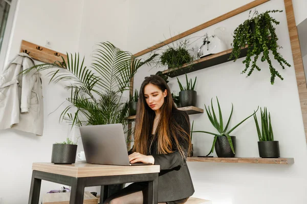 Portrait Der Attraktiven Dame Formaler Kleidung Verbringt Zeit Gemütlichem Café — Stockfoto