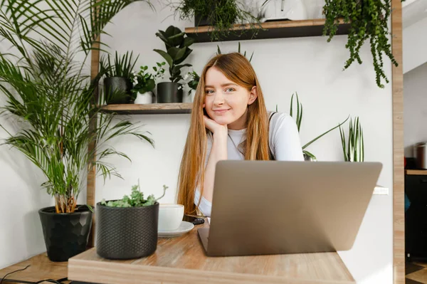 Retrato Uma Menina Estudante Bonito Sentado Com Laptop Café Acolhedor — Fotografia de Stock