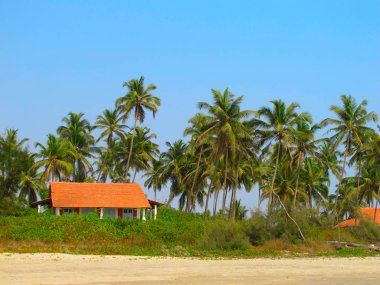 Unter palmtrees hous