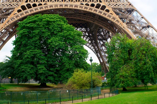 Sob as árvores da Torre Eifel — Fotografia de Stock