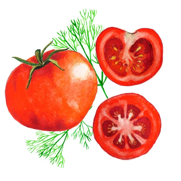 Akvarell, skivade tomater — Stockfoto