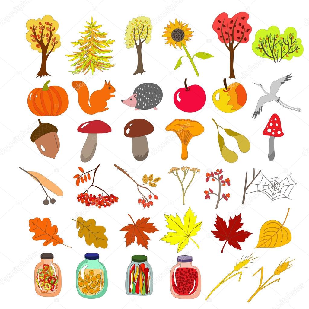 Autumn icons set