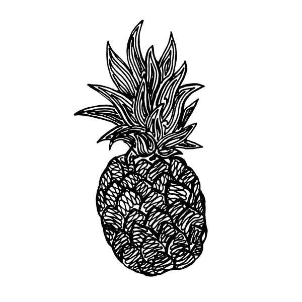 ananas kalem kroki