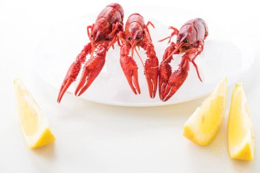 güzel haşlanmış kerevit