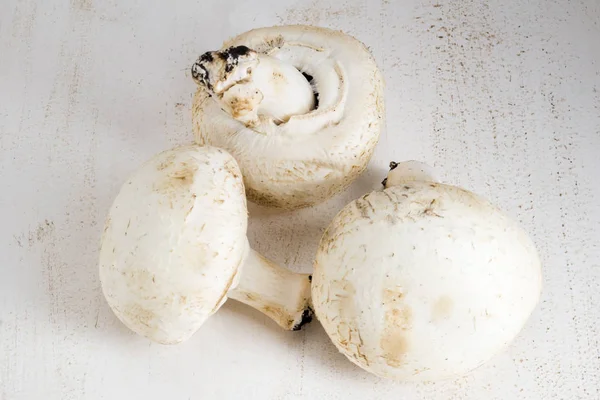 Gros champignons blancs — Photo