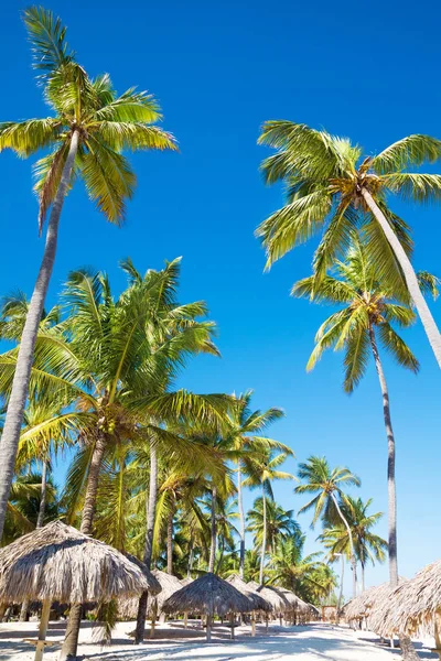 Schöner Sonnenstrand — Stockfoto