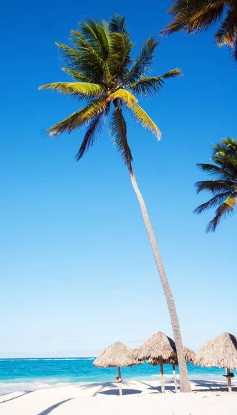 Vacker sol strand — Stockfoto