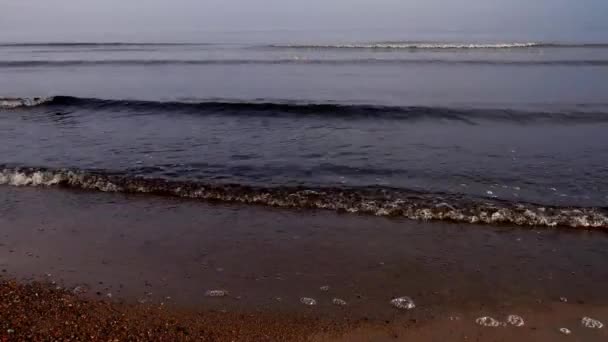 Golven haasten zich naar de zandkust. Misty vroeg in de ochtend. — Stockvideo