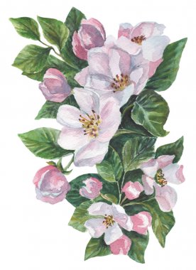 Beyaz bir arka plan üzerinde buketleri ile suluboya desen.