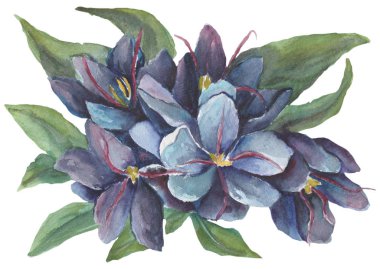 Beyaz bir arka plan üzerinde buketleri ile suluboya desen