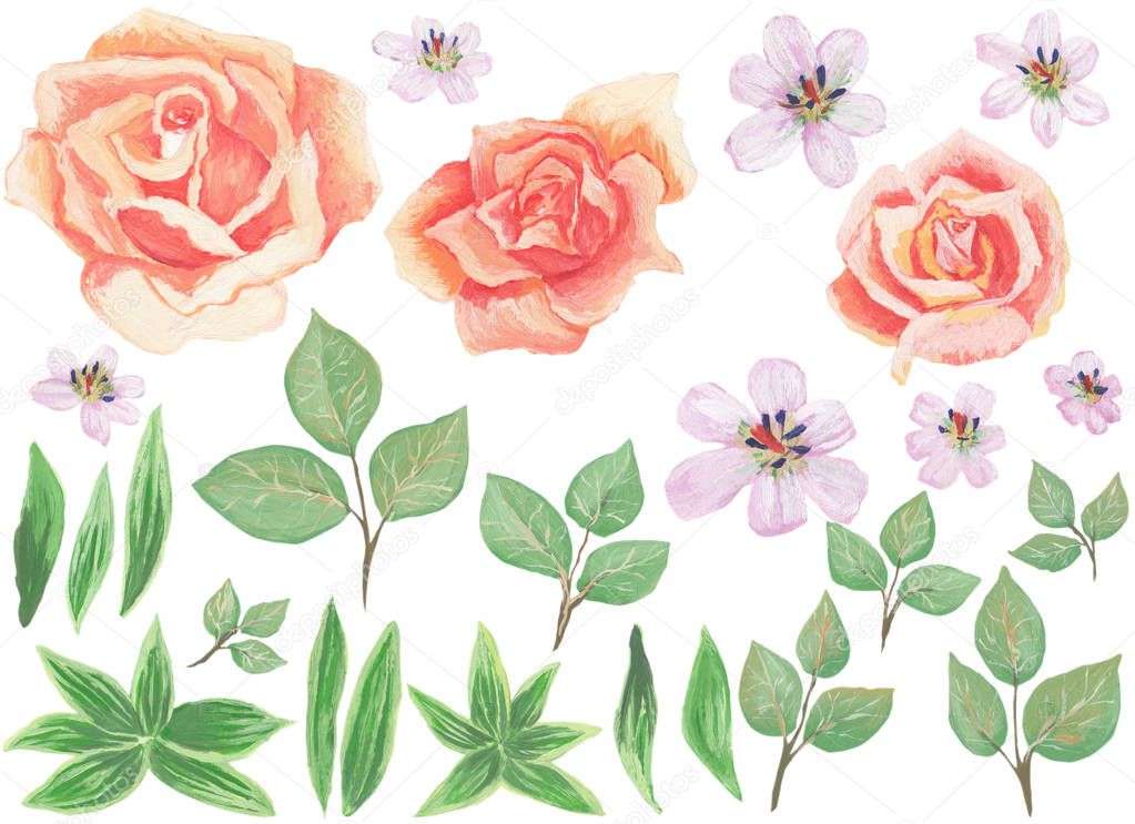 Watercolor painted collection. Excellent Design Watercolor Flowers and Leaves Elements for invitation