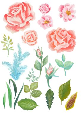 Suluboya çiçek ve yaprak, beyaz arka plan üzerinde izole mükemmel kombinasyonu boyalı