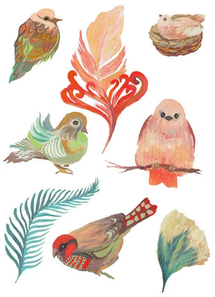 Watercolor painted collection of birds and feathers. Hand drawn design elements isolated on white background. — Stock Photo, Image