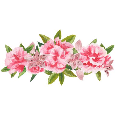 Çiçek ve yaprakları, beyaz arka plan üzerinde izole suluboya kombinasyonu el boyalı