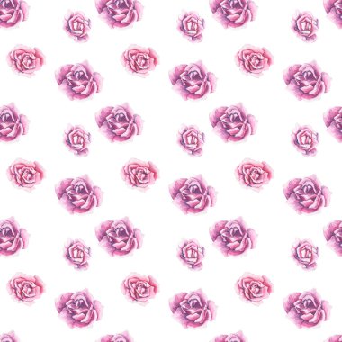 Beyaz arka planda kesintisiz tasarımının çiçek ve yaprak suluboya desen