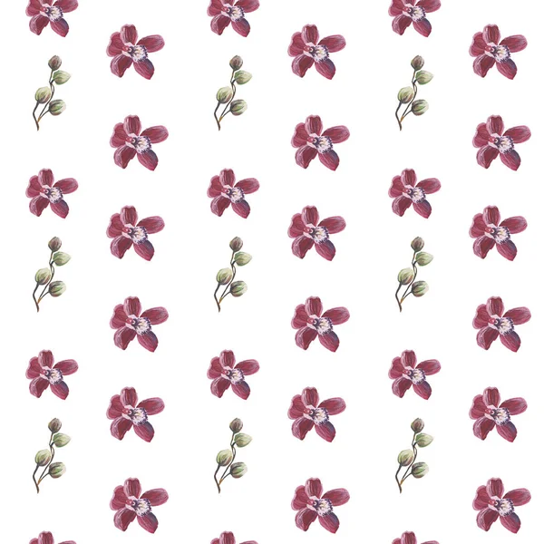 Watercolor pattern of flowers and leaves seamless design on white background — Stock Photo, Image