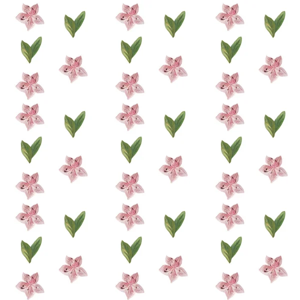 Akvarell mönster av blommor och blad sömlös design på vit bakgrund — Stockfoto