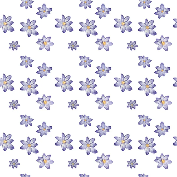 Watercolor pattern of flowers and leaves seamless design on white background — Stock Photo, Image