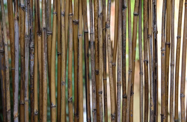 Staré bambusové stěny pozadí — Stock fotografie
