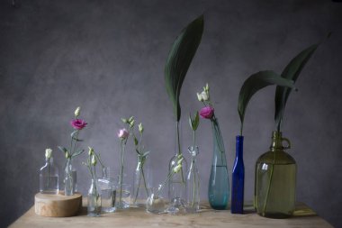 Tablo, gri duvar arka plan üzerinde cam şişelerde pembe güller