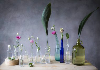 Tablo, gri duvar arka plan üzerinde cam şişelerde pembe güller