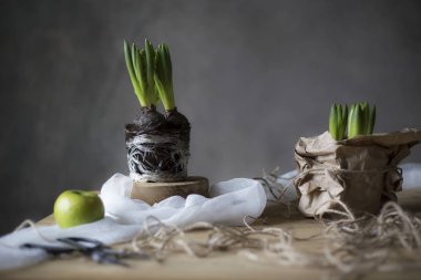 Ahşap masa üzerinde yeşil çiçekli yeşil elma closeup
