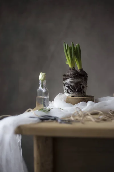 Nahaufnahme Von Frischen Blumen Auf Dem Tisch Mit Tuch Vase — Stockfoto