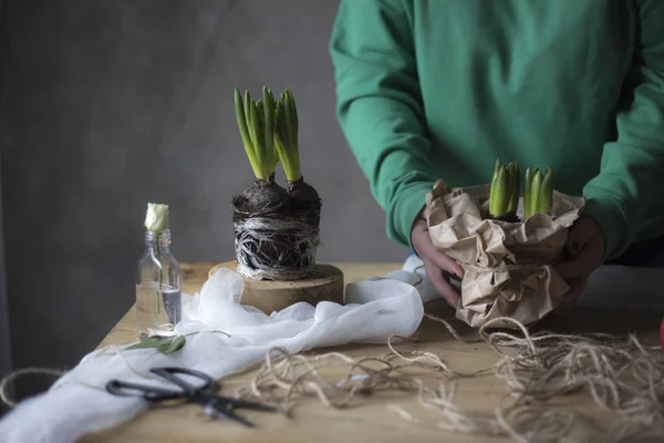 Primer Plano Las Manos Femeninas Sosteniendo Flor Jacinto Concepto Jardinería — Foto de Stock