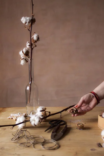 Closeup Female Hands Peeling Nuts Wooden Table Branch — Stock Photo, Image